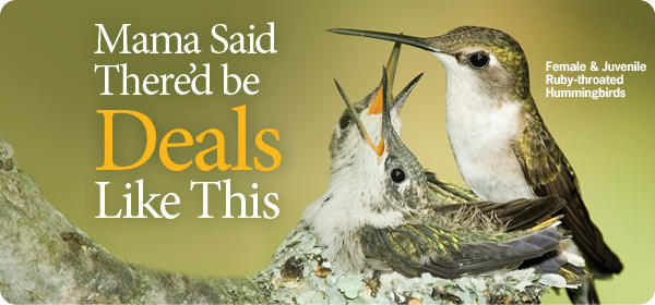 Mama Said There'd be Deals Like This