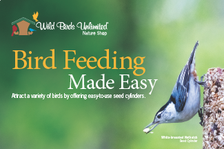 Bird Feeding Made Easy