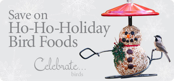 Ho-Ho- Holiday Bird Food