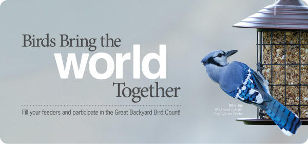 Birds Bring the World Together