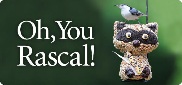Oh, You Rascal!